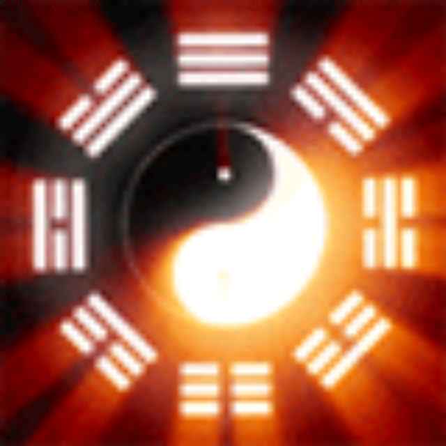 向导