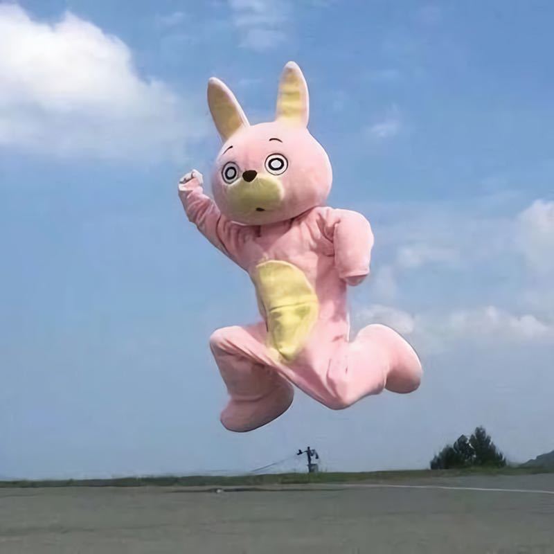 洋🌻