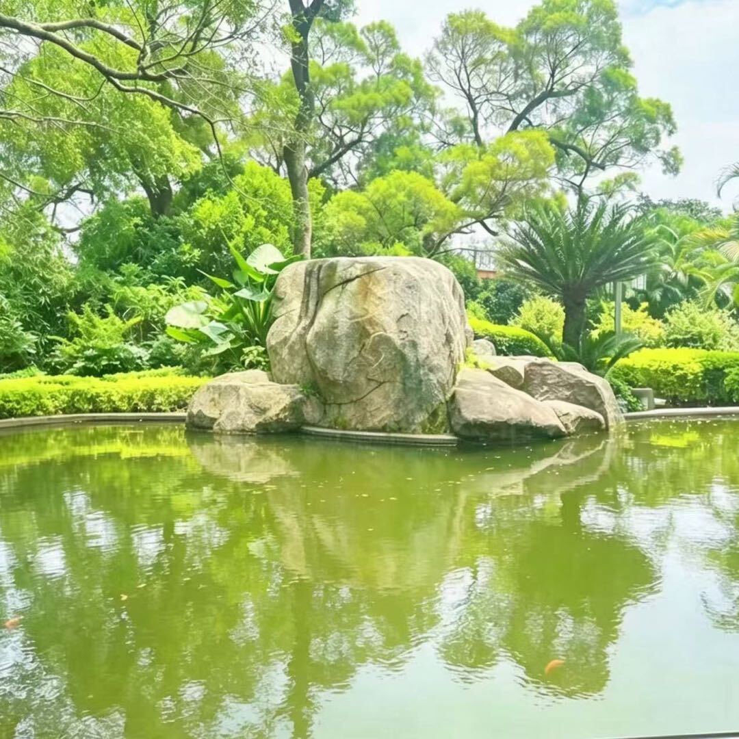 赶着小毛驴去纽约