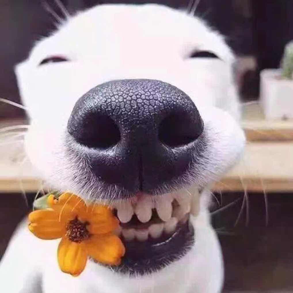A  夜场网彭叔叔🕺🕺🕺