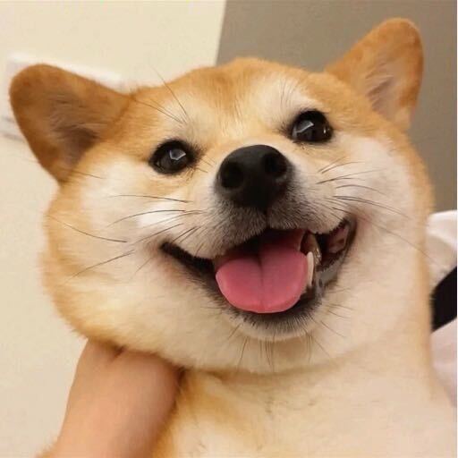马赛克