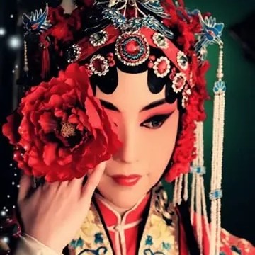 雄起论道