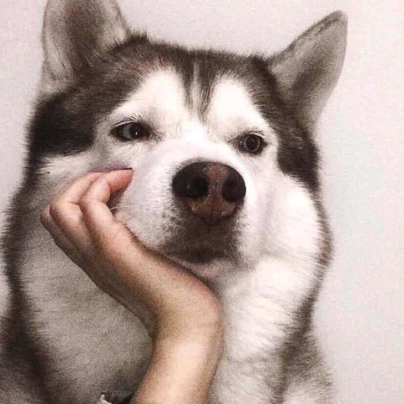 Thinkshuo