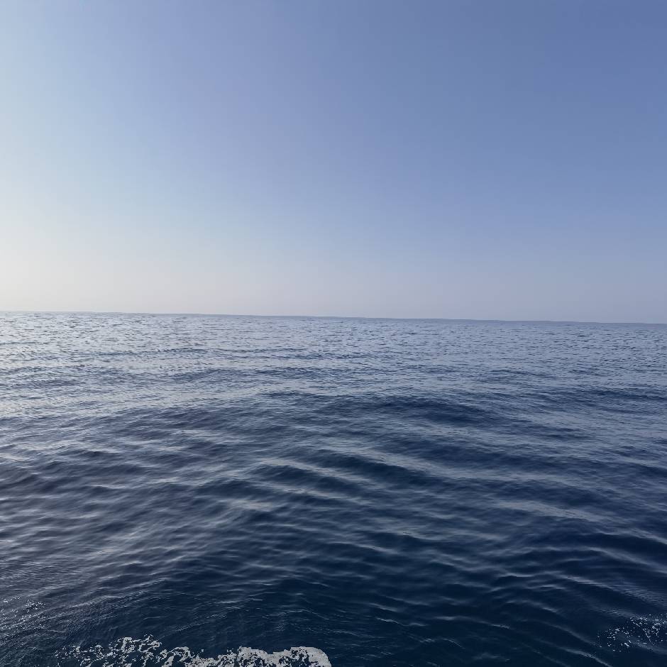 冷光资源库（请备注来意）