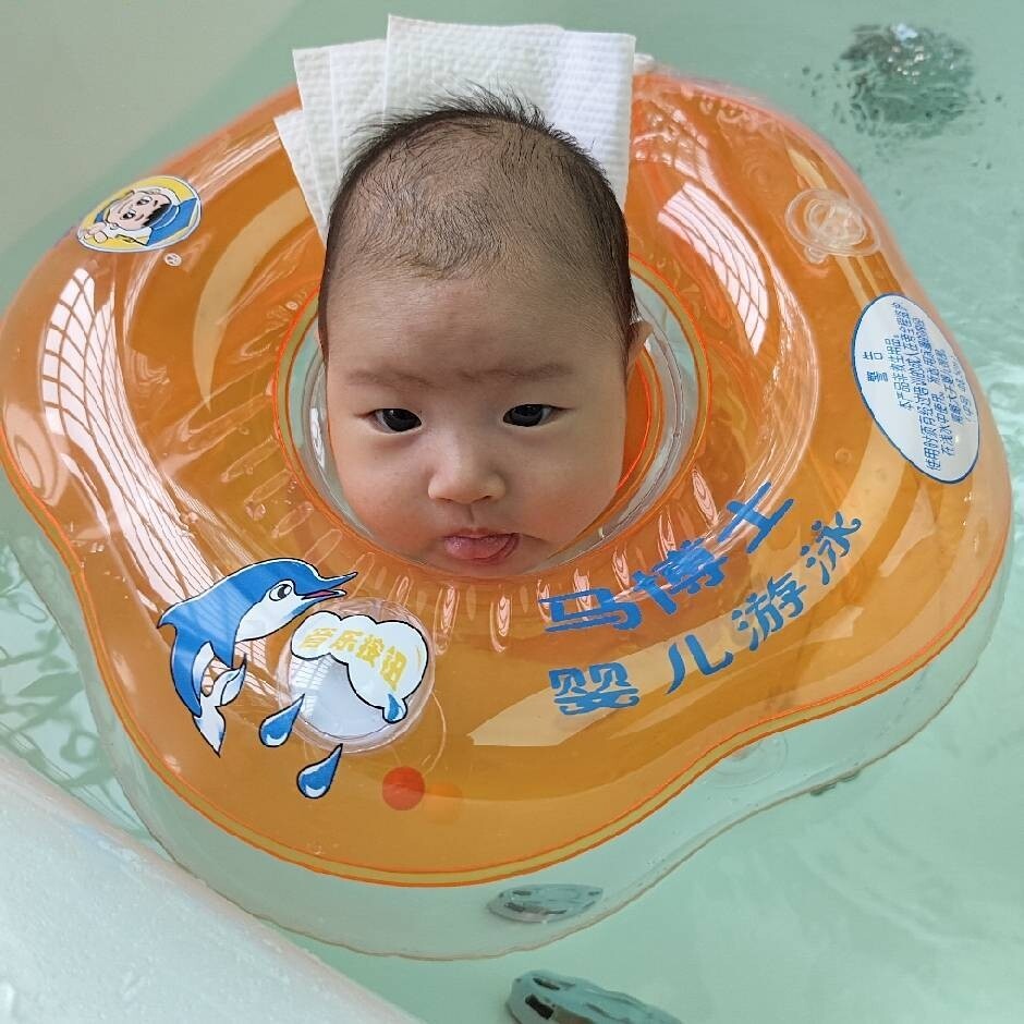 布布