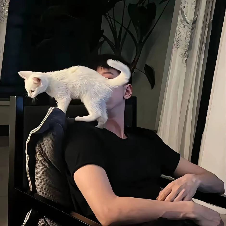 TiAmo