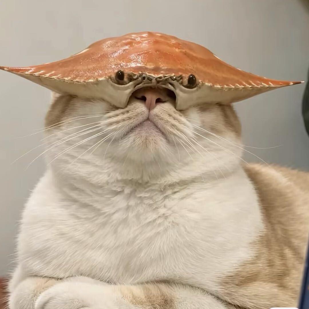一只毛桃