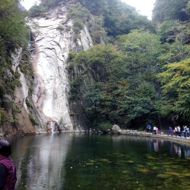 用戶頭像