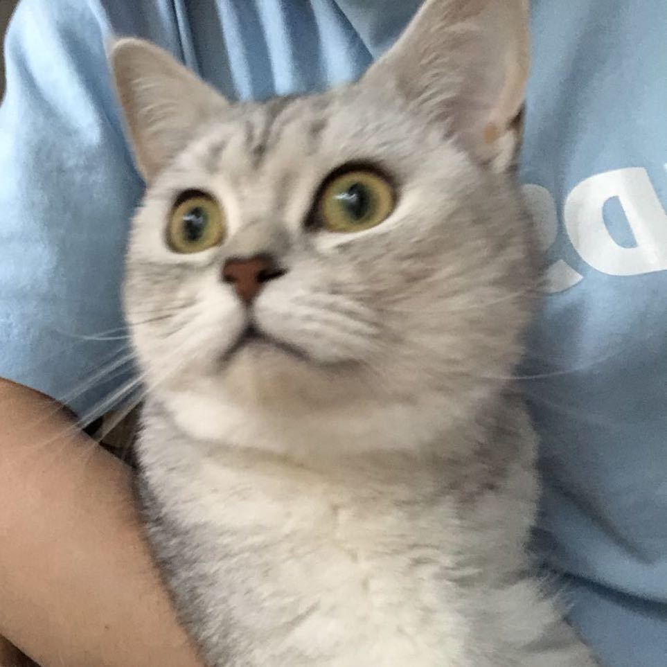 九千