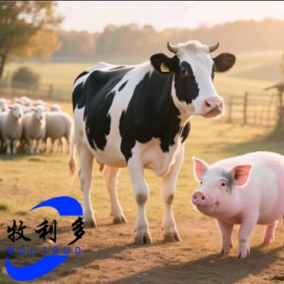 A兽药批发宋万春15544118341