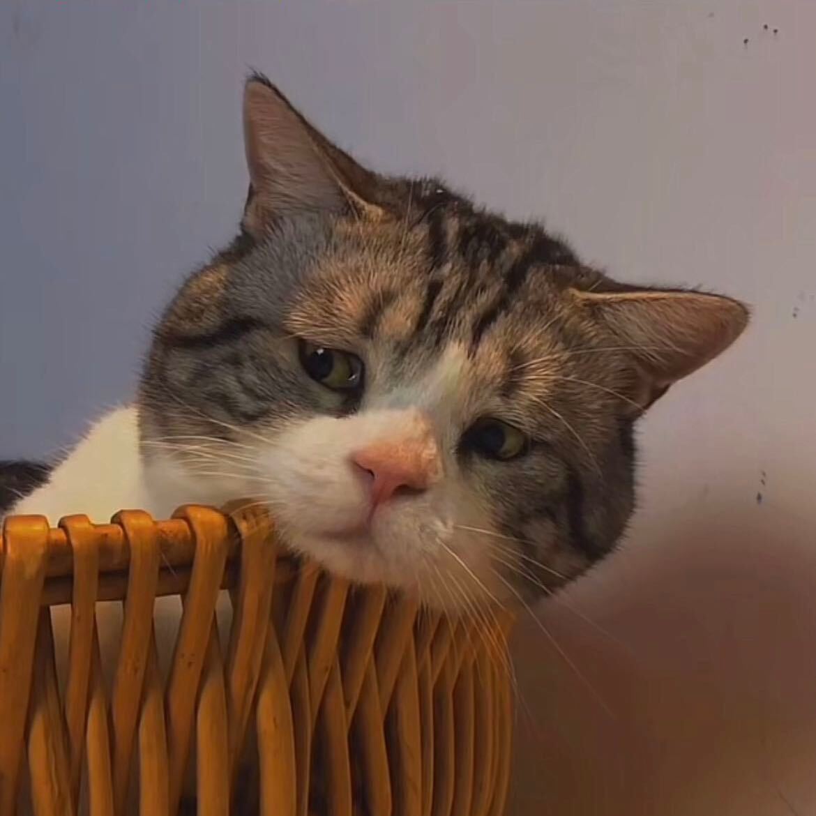 石卡