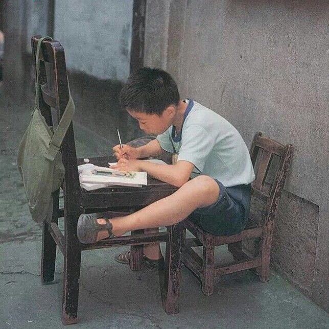 天天爱洗袜子的马