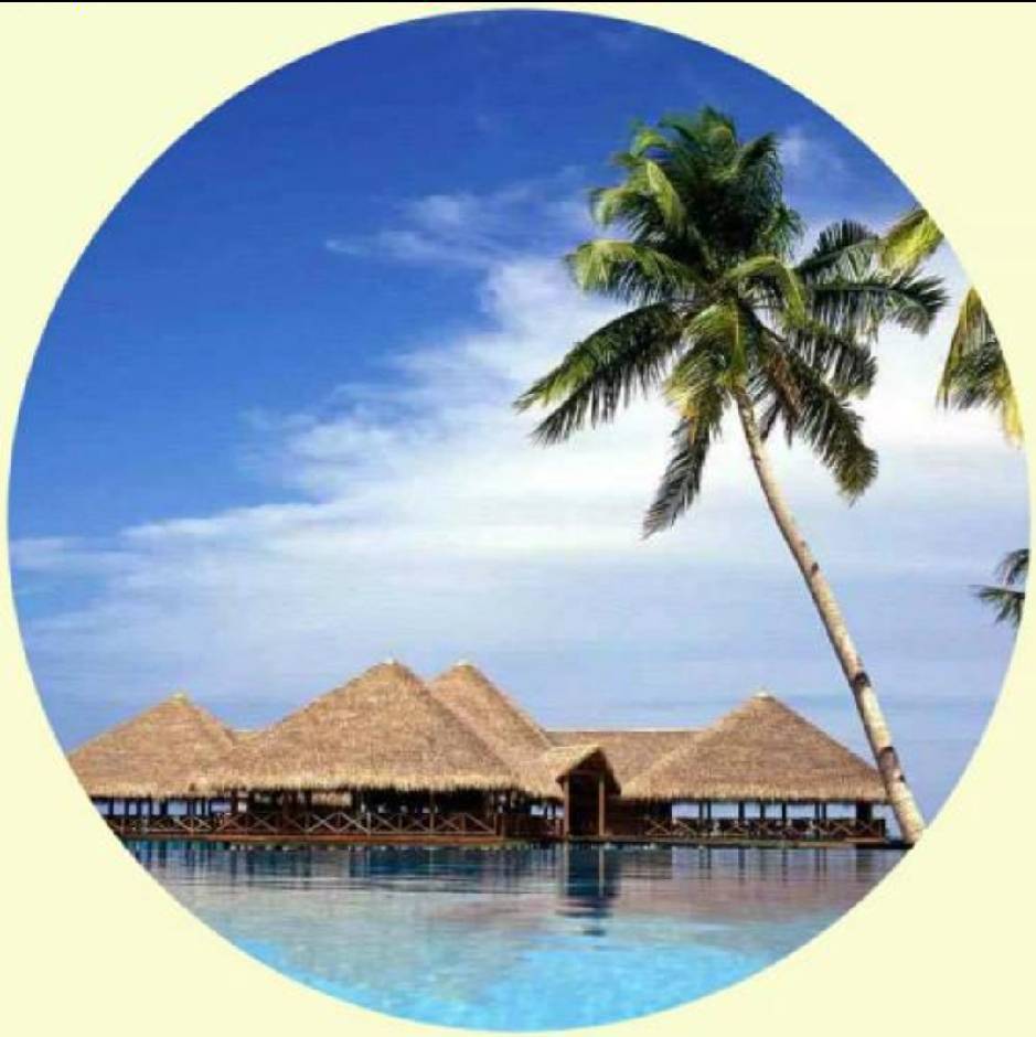 净莲（恕不闲聊）