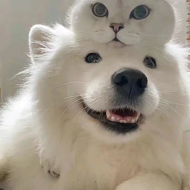 what color