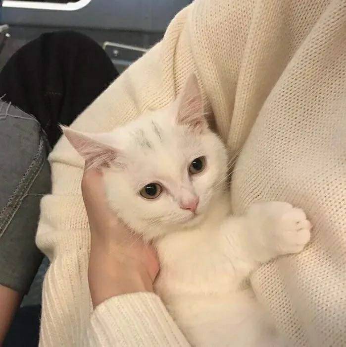 (´-㉨ก`)