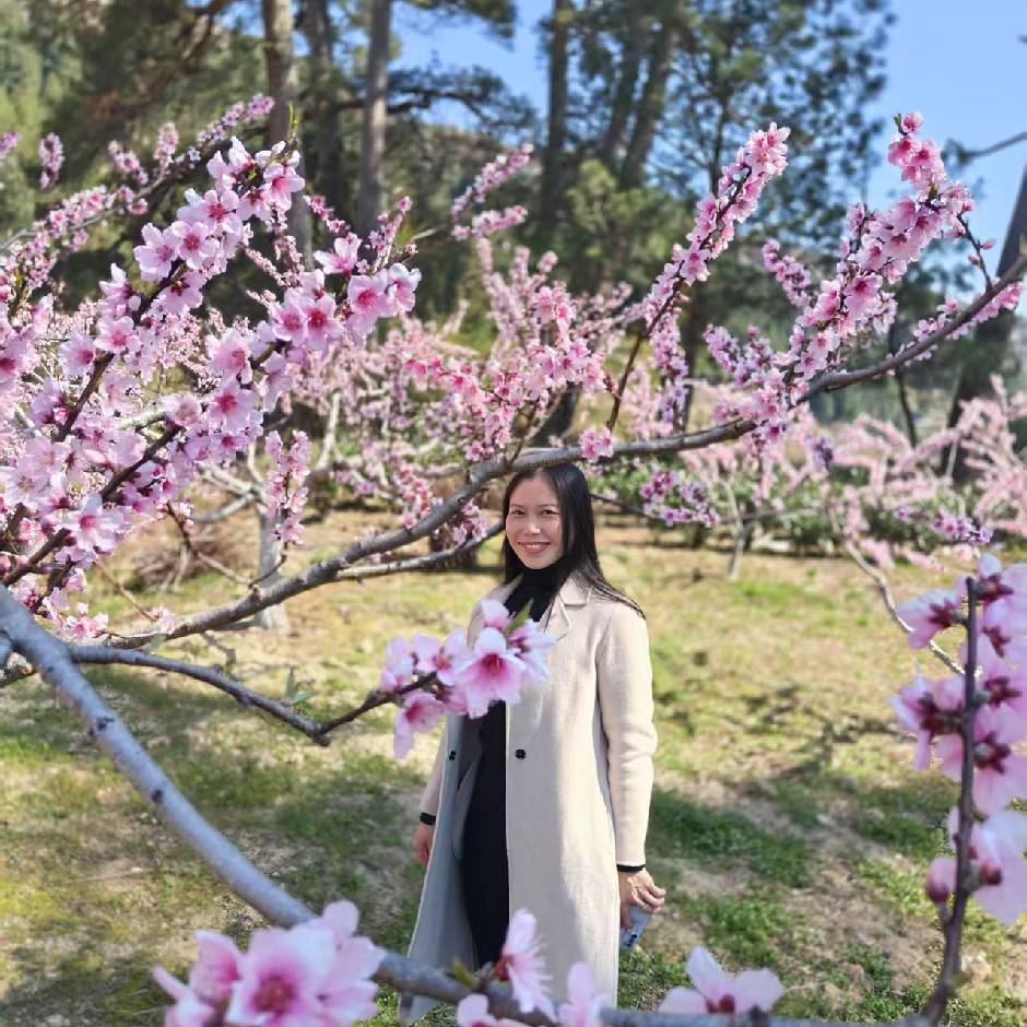 树莲