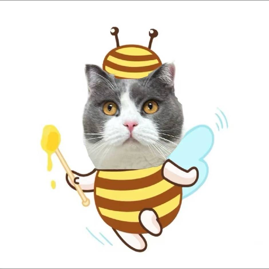 猫不语