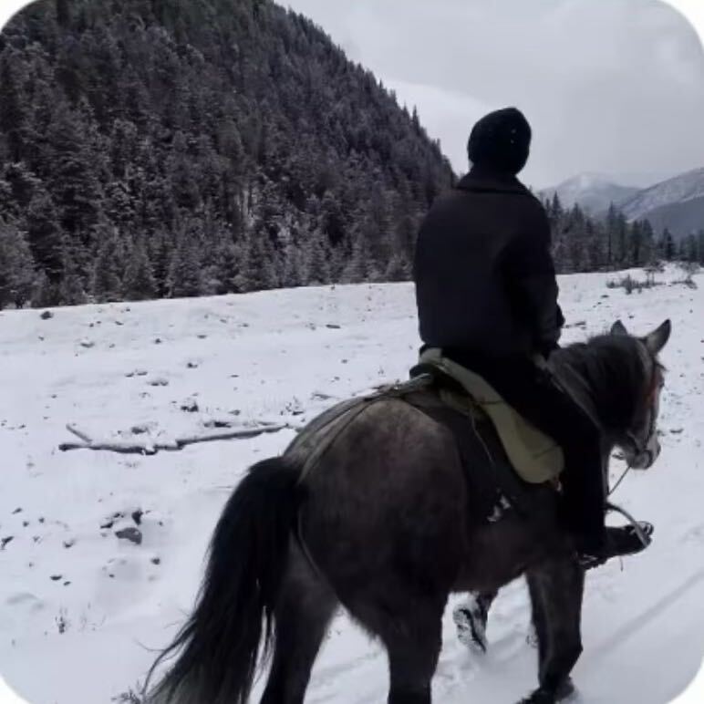 努力努力再努力i