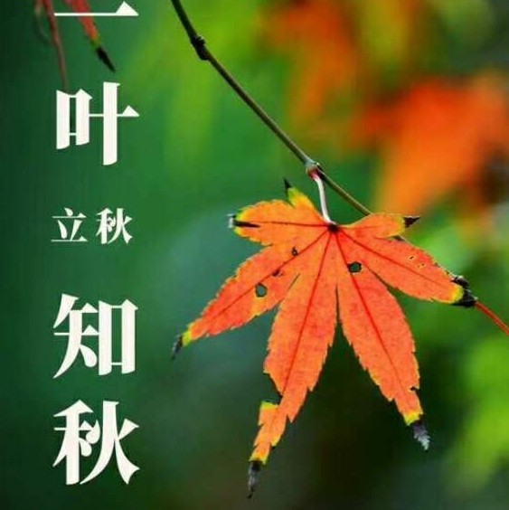 一叶之秋