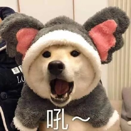 用戶頭像