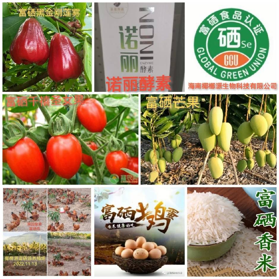 五零有机富硒功能农业温天南