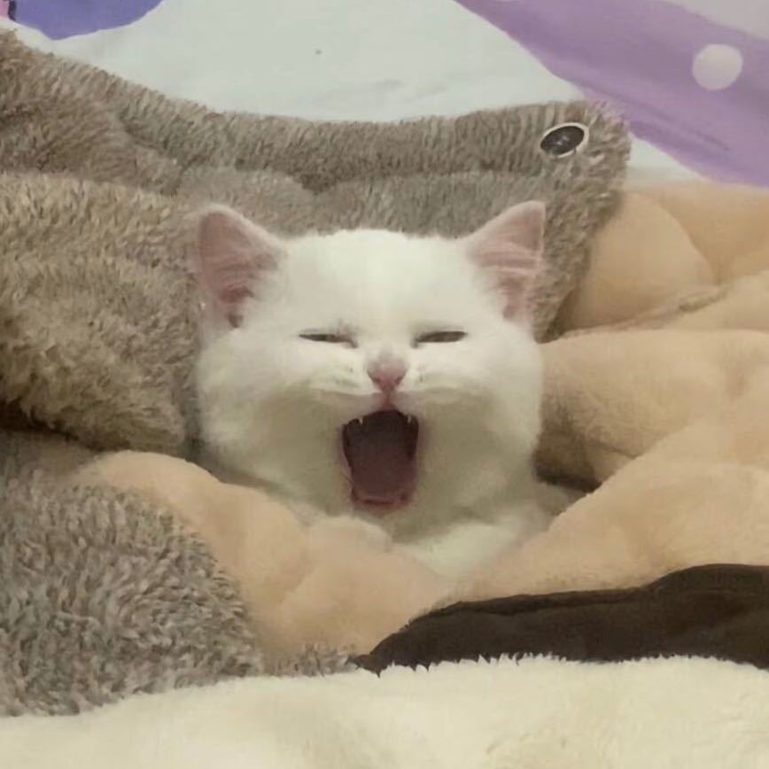 。