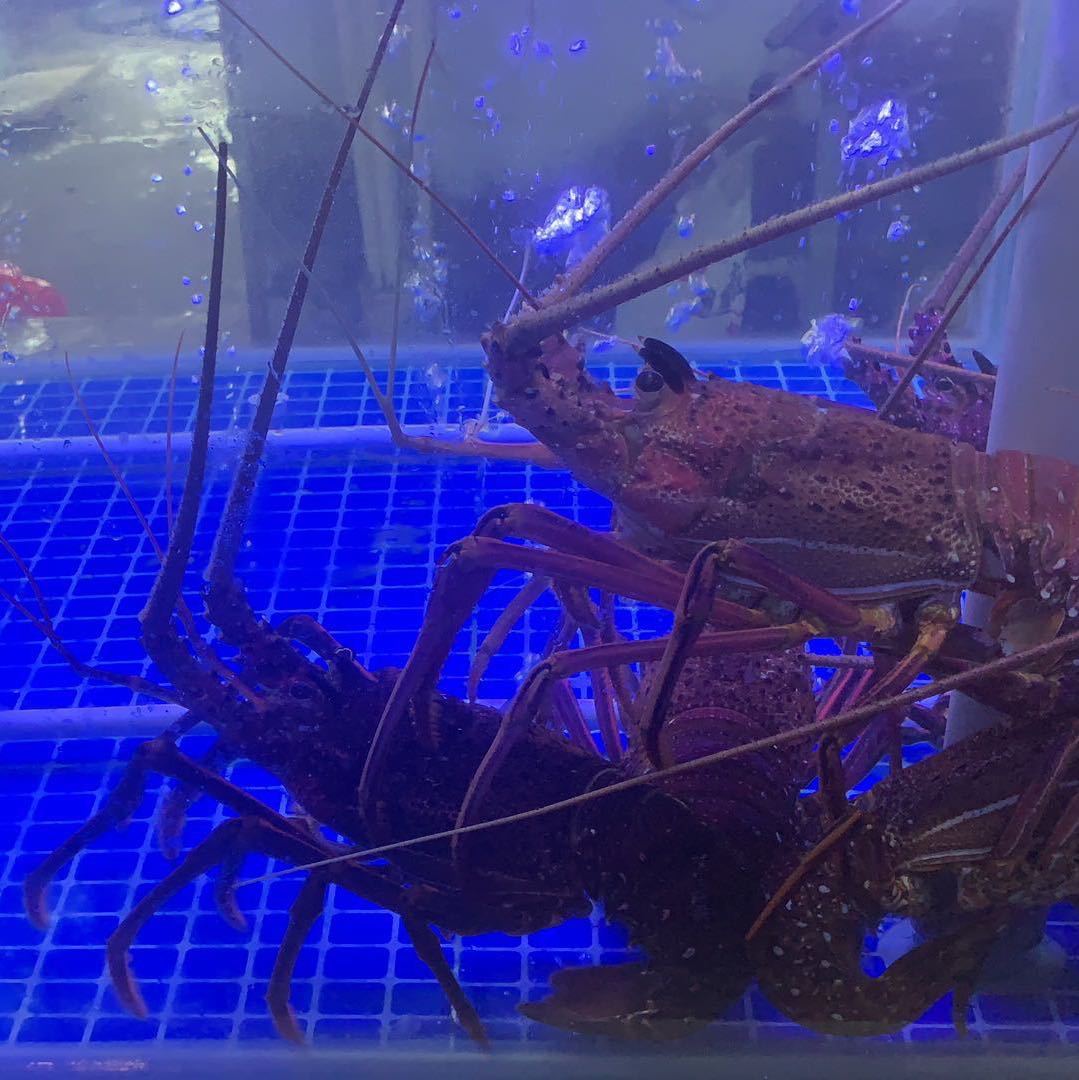 用戶頭像