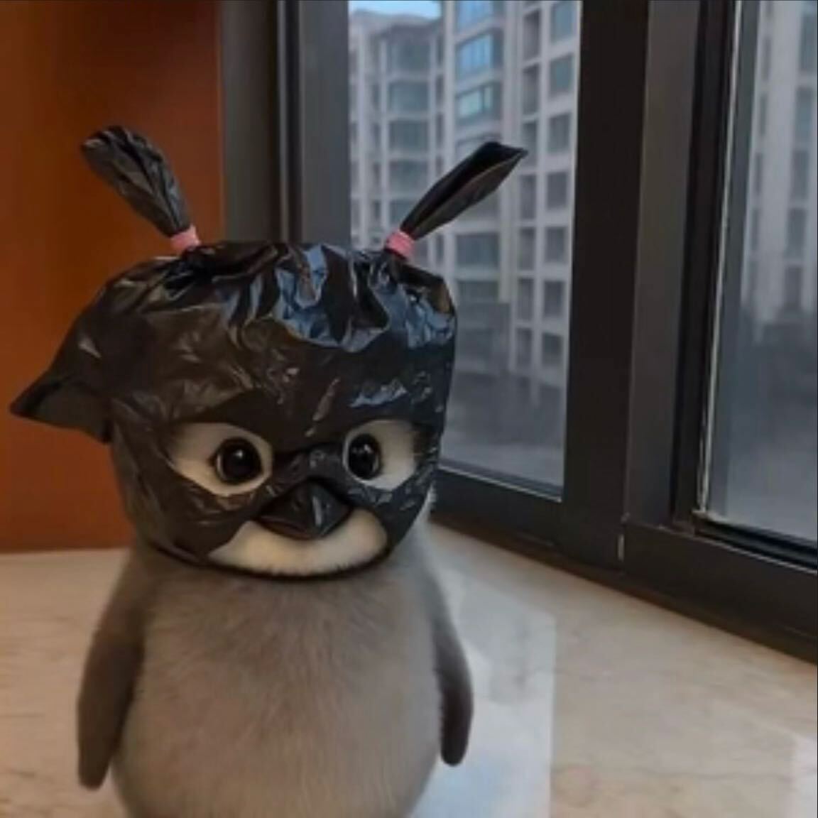 黑猫警长