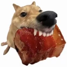恒之