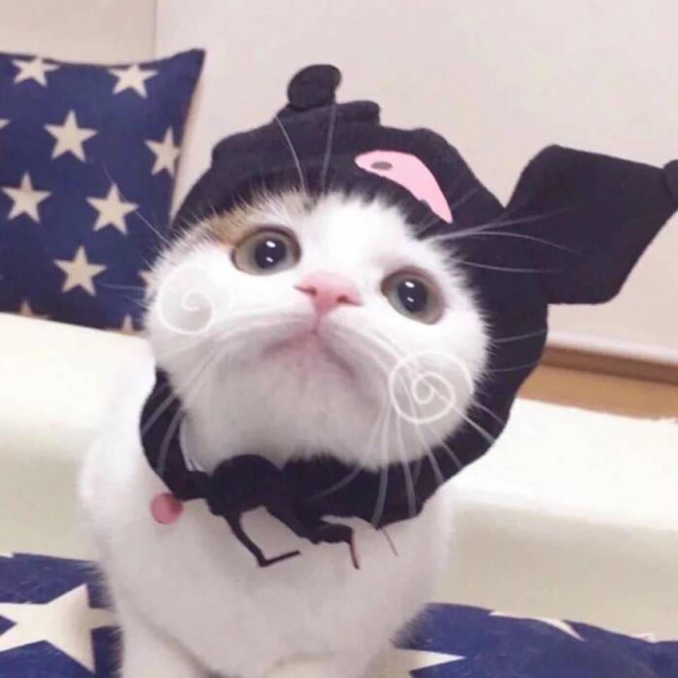 用戶頭像