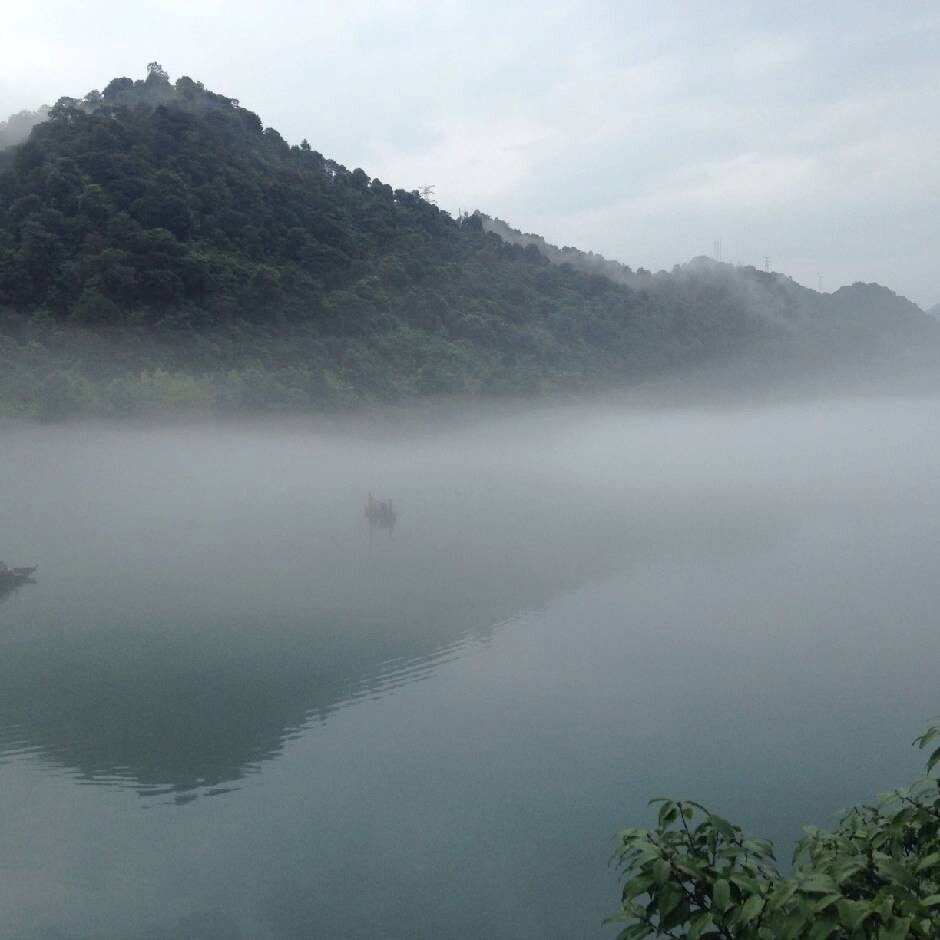 龙安清