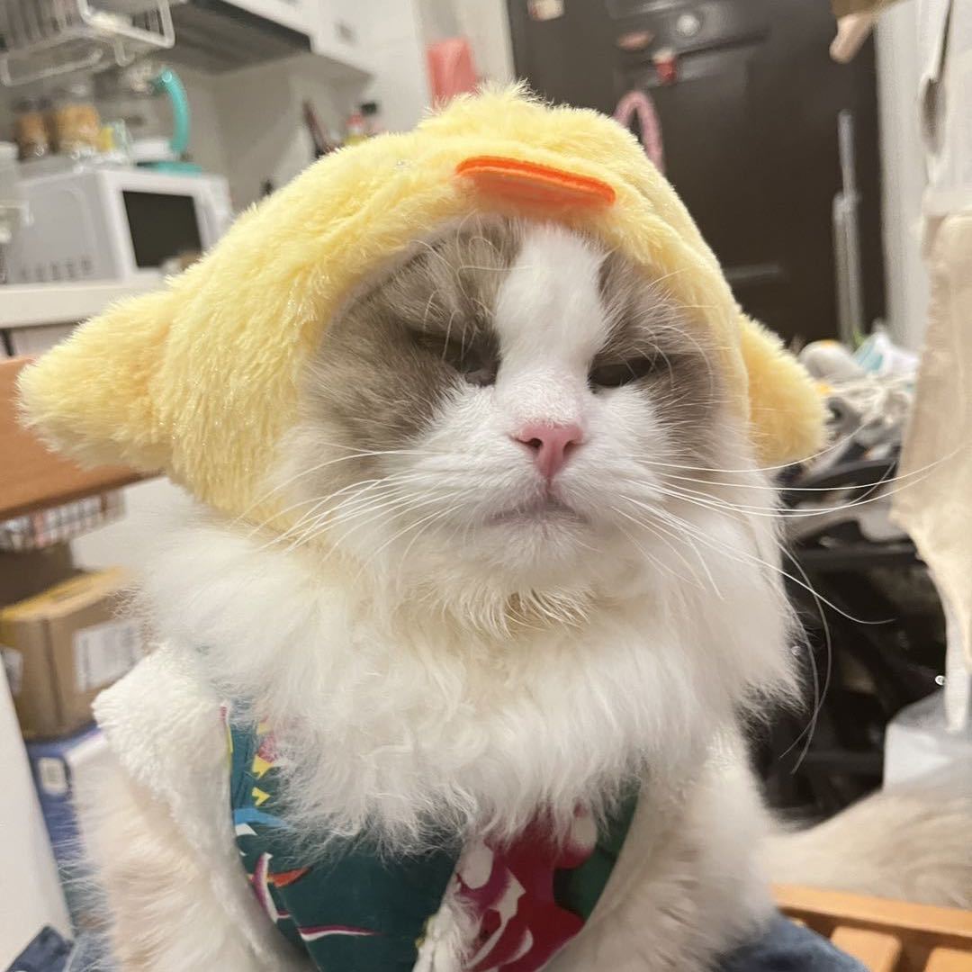 九月。