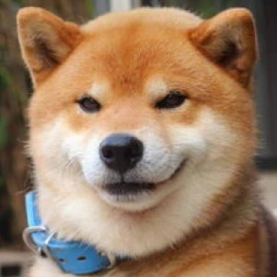 疯疯