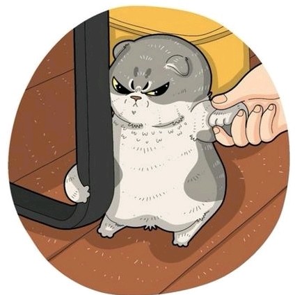 九点