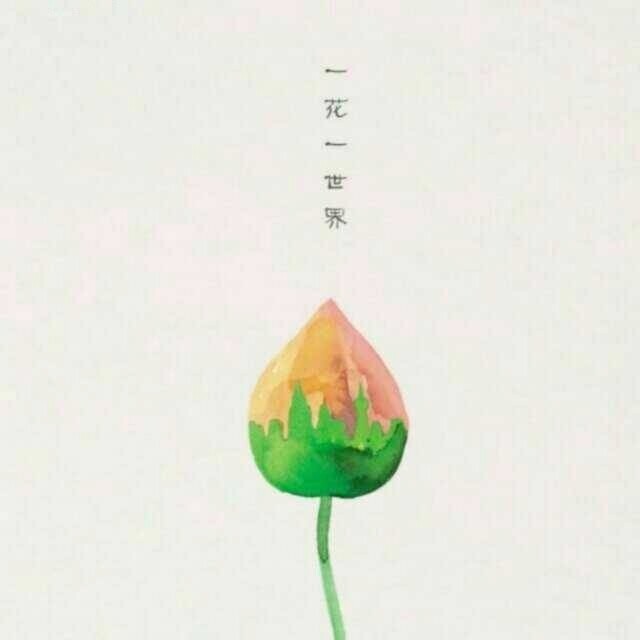 李波