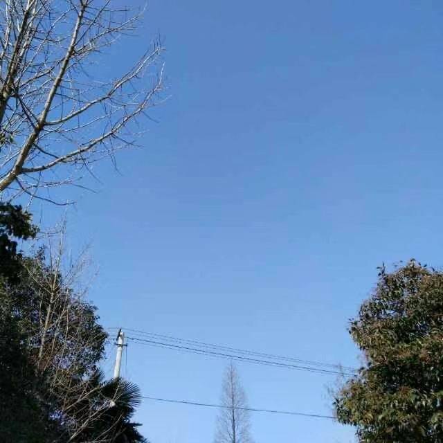 〔〕