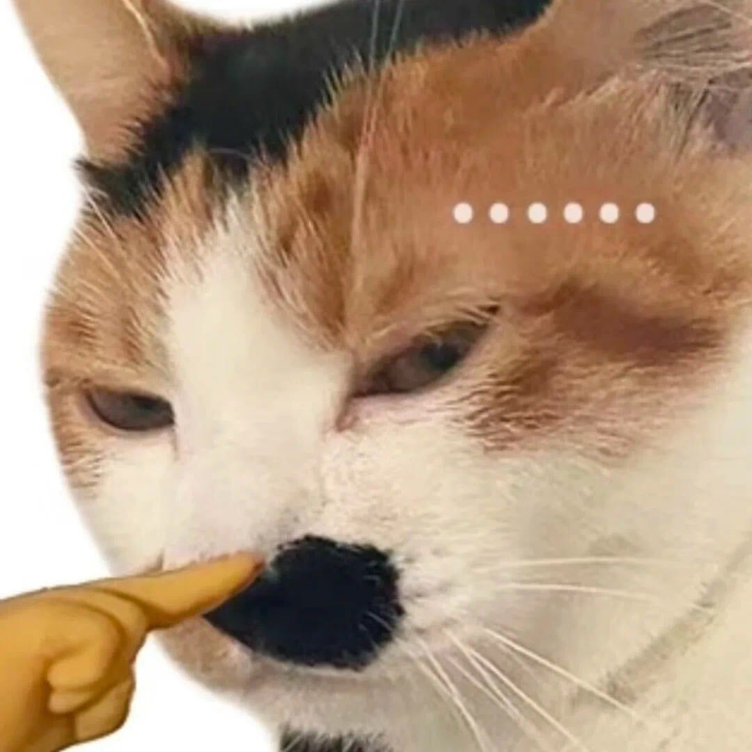 路边一条