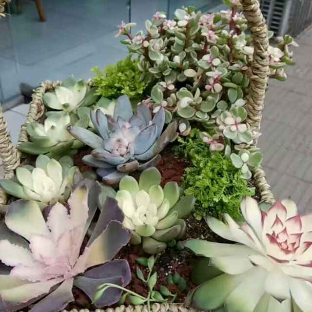 用戶頭像