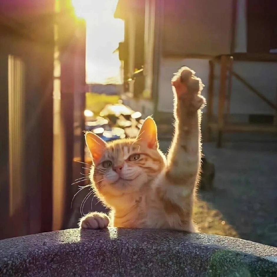 等