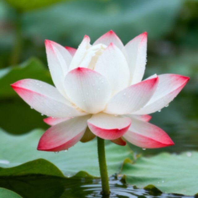 武汉市漫投科技有限公司