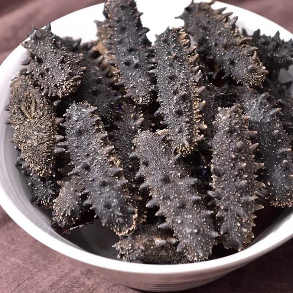 大连辽参源头工厂