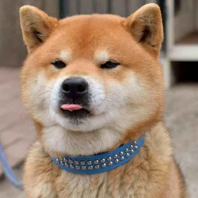 生活玩乐