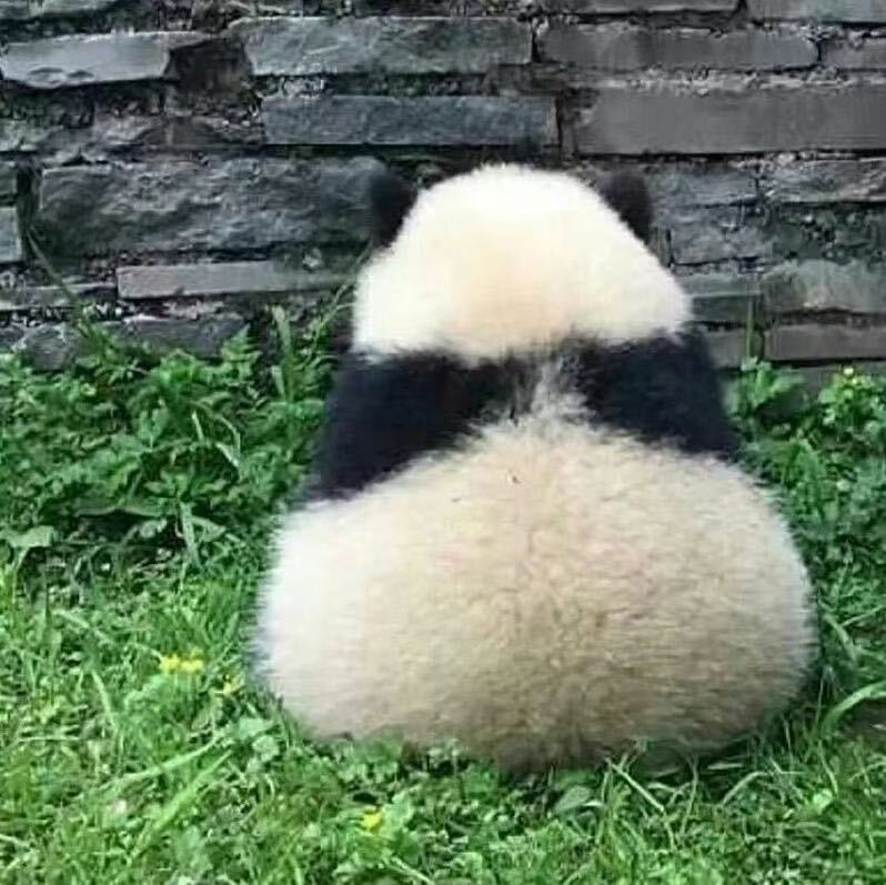 小时