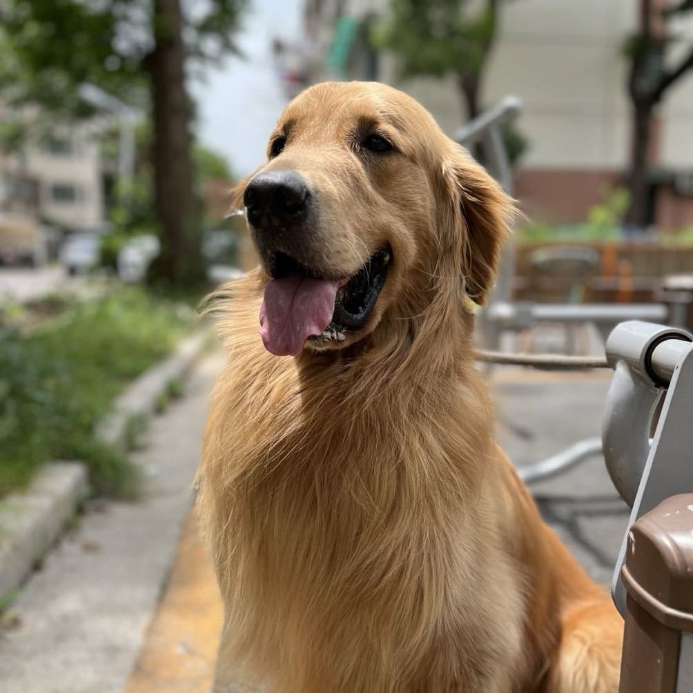 伐是弄啥宁