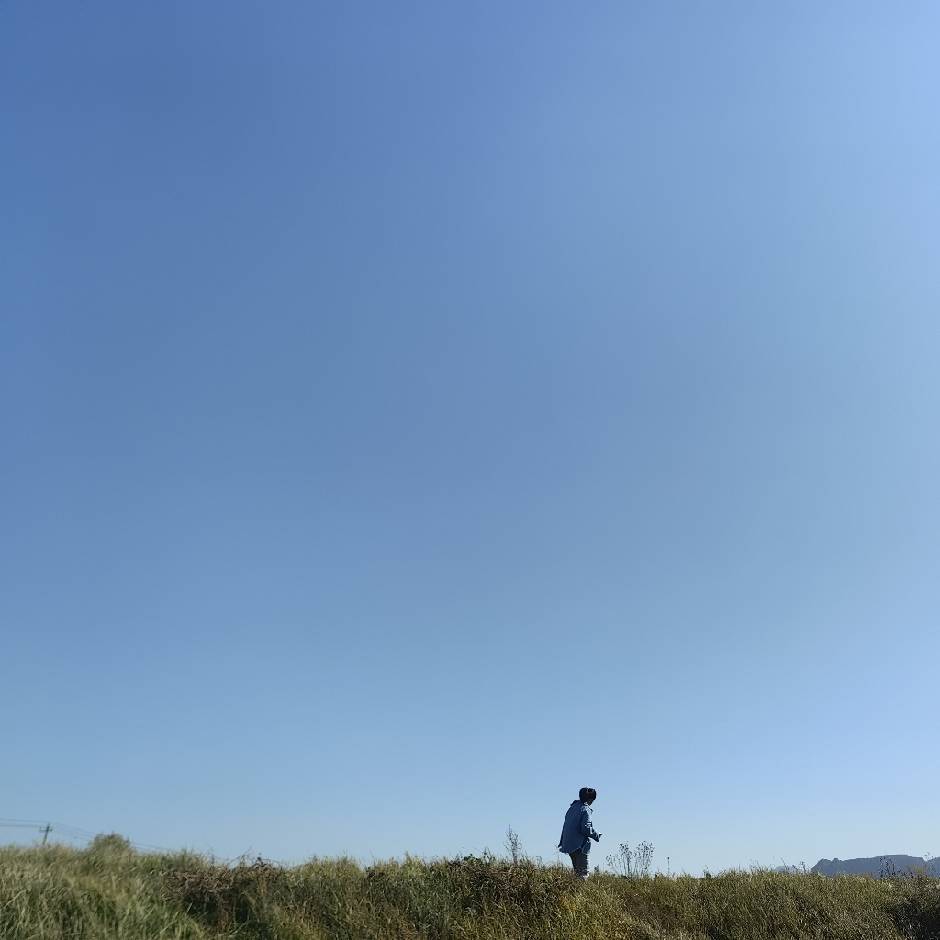 凤凰