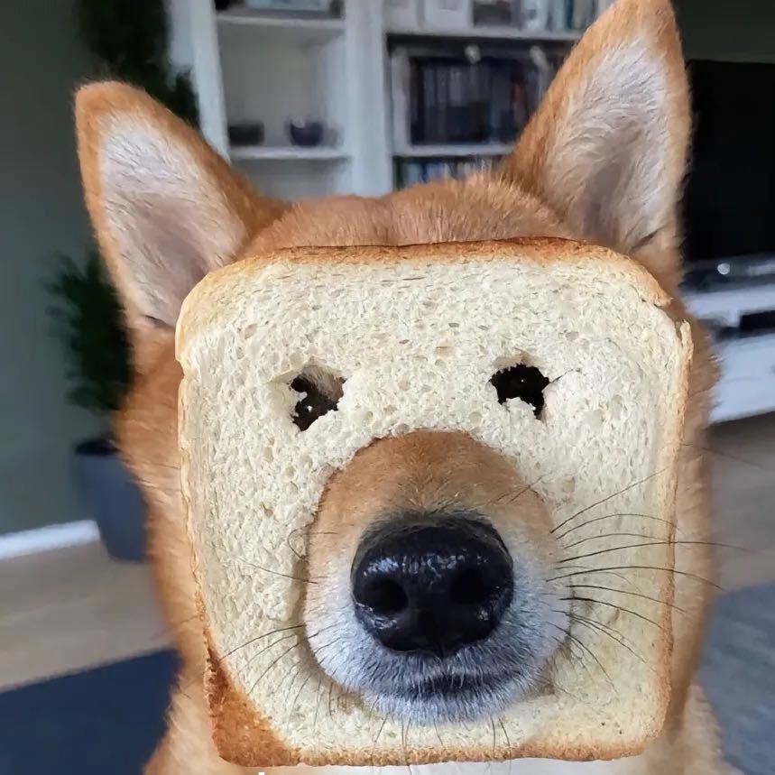 赵林林