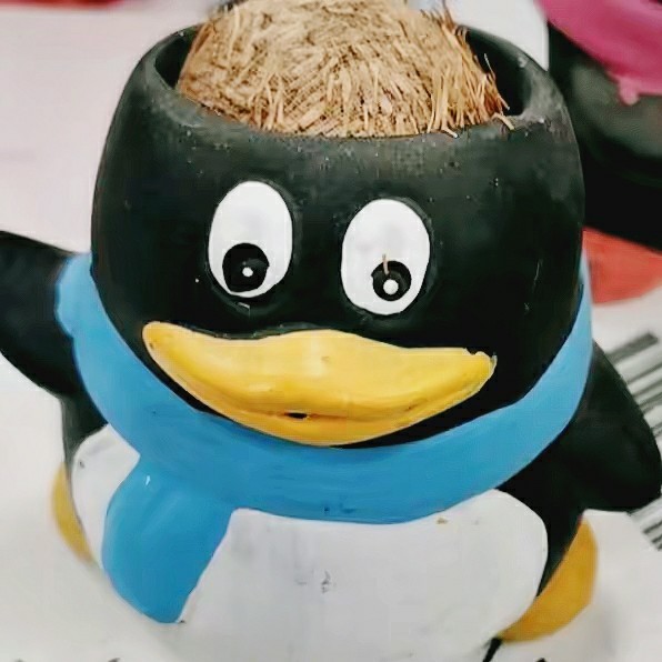 if(true) return true