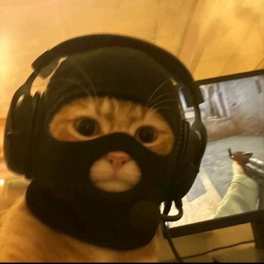 不如来看海