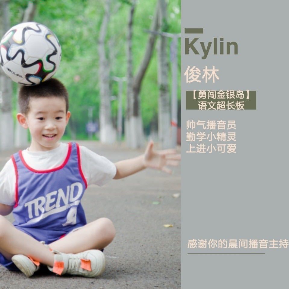 金Kylin