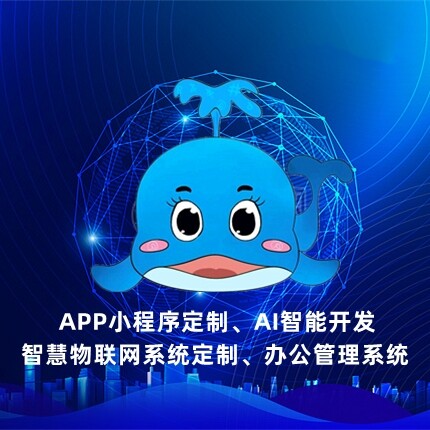 A软件定制开发-何老师